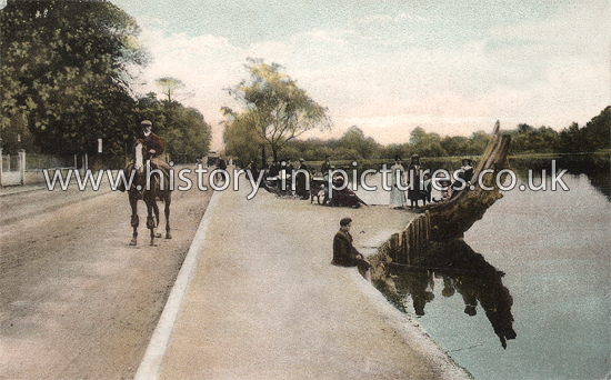 Eagle Pond, Snaresbrook, London. c.1915.